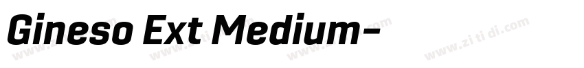 Gineso Ext Medium字体转换